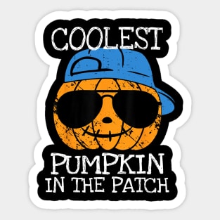 Coolest Pumpkin In The Patch Halloween Boys Girls Teens Sticker